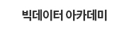 빅데이터 아카데미