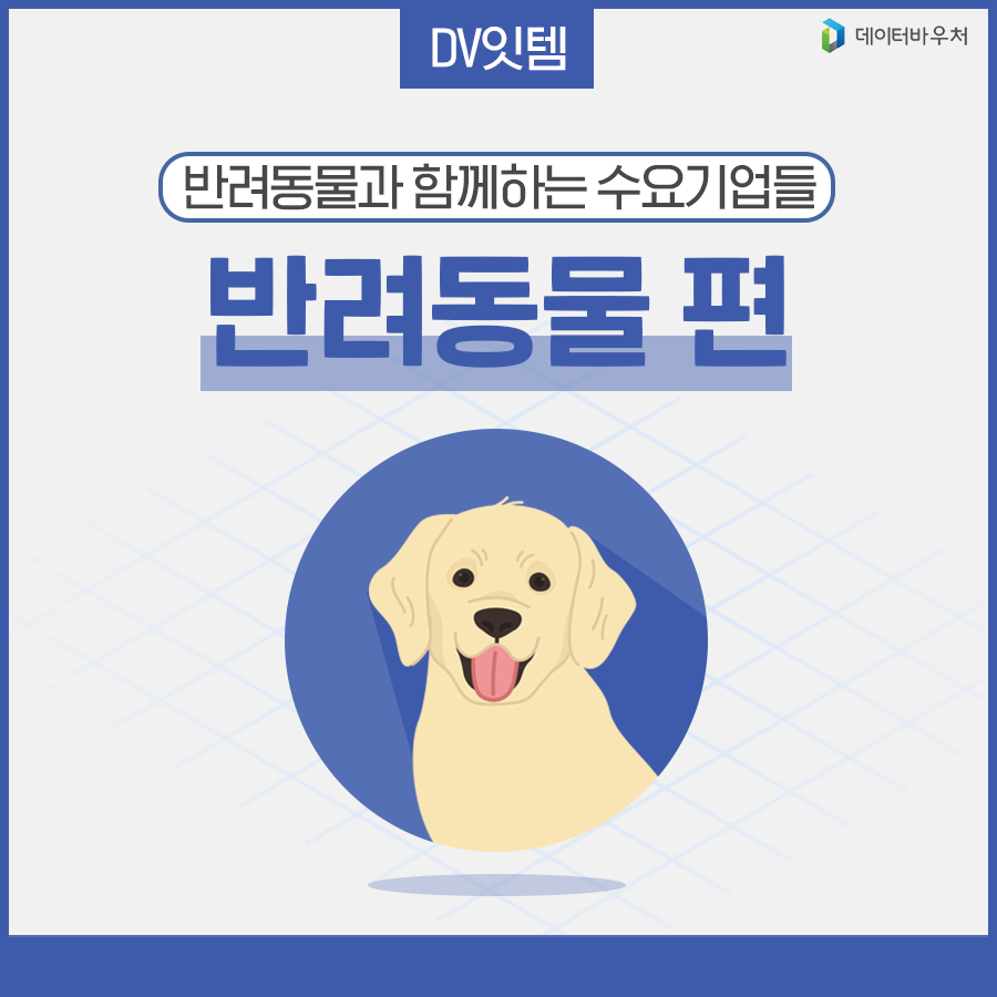 [DV 잇템]_반려동물 편