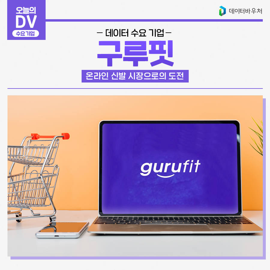 [오늘의 DV]_구루핏